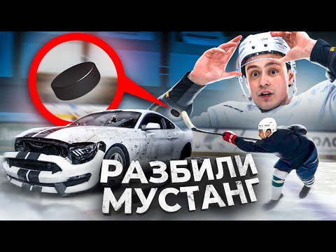 Видео: Мустанг, Хокки хоёр нийлдэг үү?