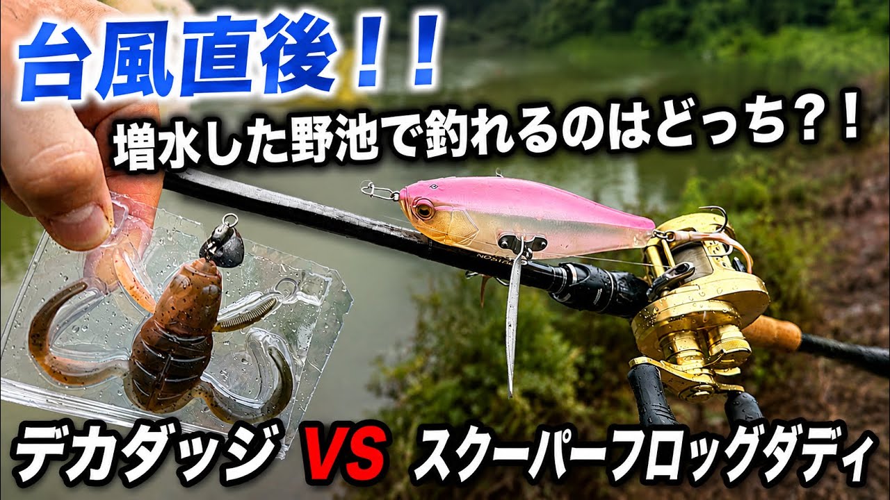 デカバス確定】デッドボーイの神セッティングを試した結果。この