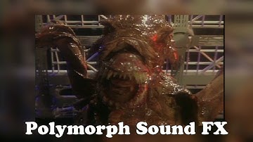 Red Dwarf Sound FX -  Polymorph