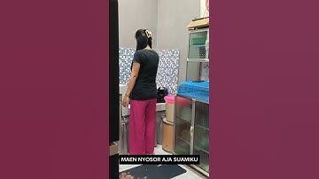 MAEN NYOSOR AJA SUAMIKU #shorts #pasutri #suamiistri #couplecomedy #lucu #hiburan #apfamily
