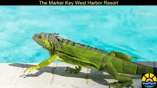 The Marker Key West Harbor Resort -West