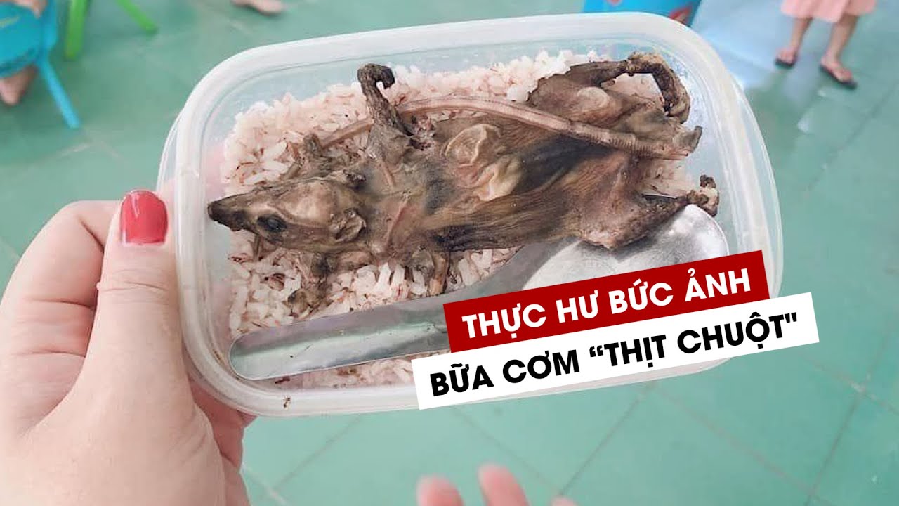 Thực hư bức ảnh học sinh vùng cao Quảng Nam 'ăn cơm... - youtube