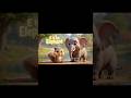 Letters A to L | Sunny the Squirrel Teaches the Alphabet #alphabetsong #abcforkids #toddlers