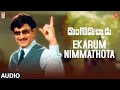 Ekarum Nimmathota Song | Dongodochadu Movie | Krish,Radha,Jayanthi | Chakravarthy | Telugu Old Song
