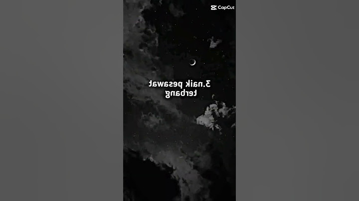 Gua gak pernah