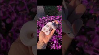 power of transformation || power off editing || #transformation #editing