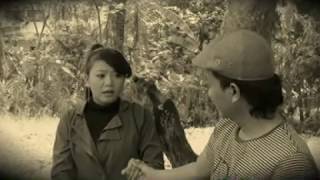 Delapan Dewa Organ Dhealova