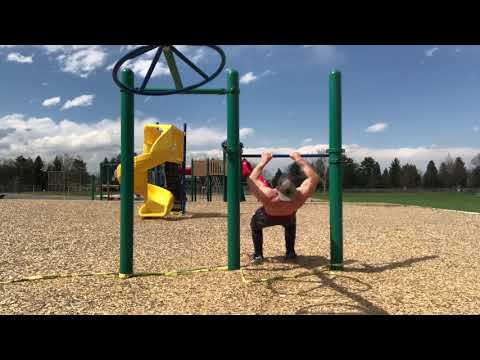 Inverted Row “Face Pulls”