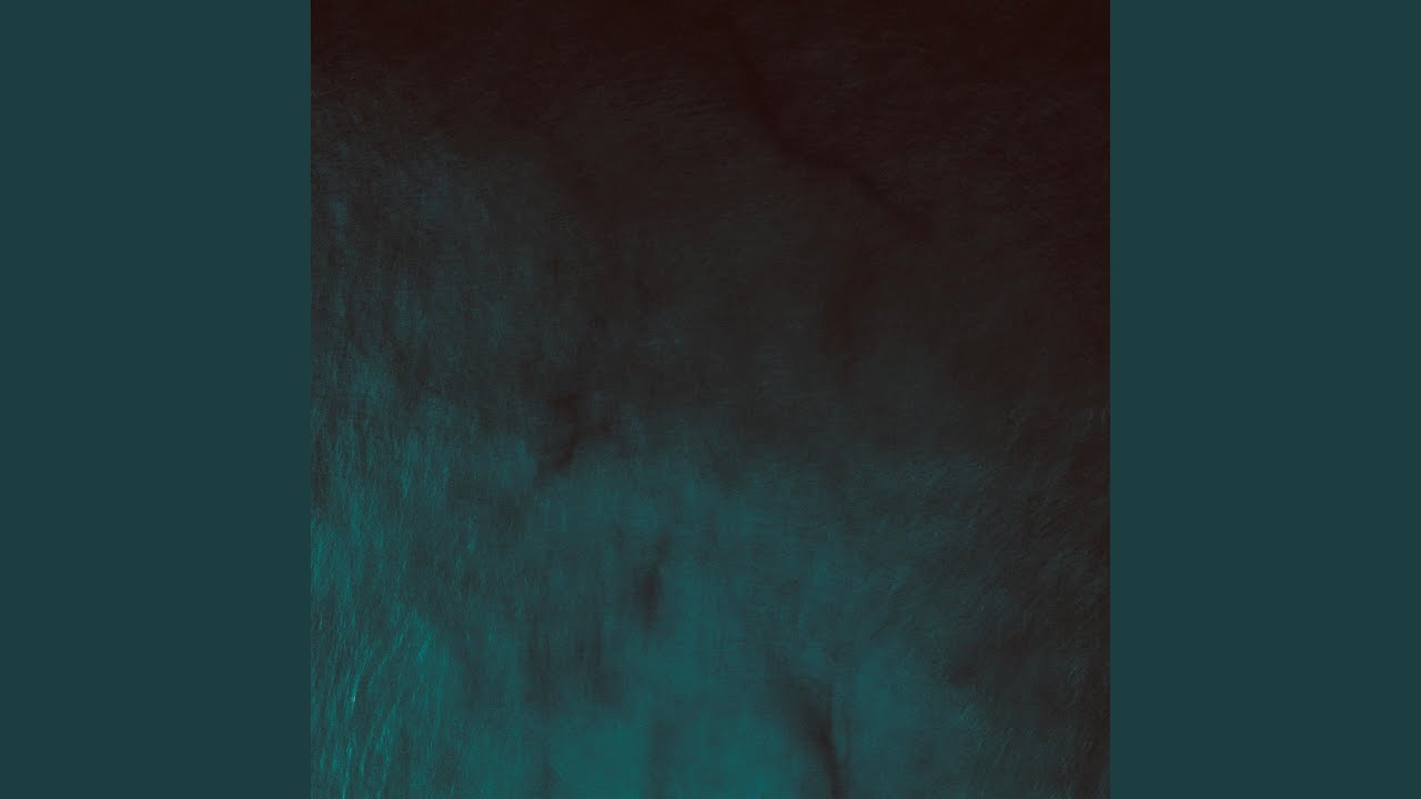 Assista a Wool (Ocean) no YouTube Assista a Wool (Ocean) no YouTube