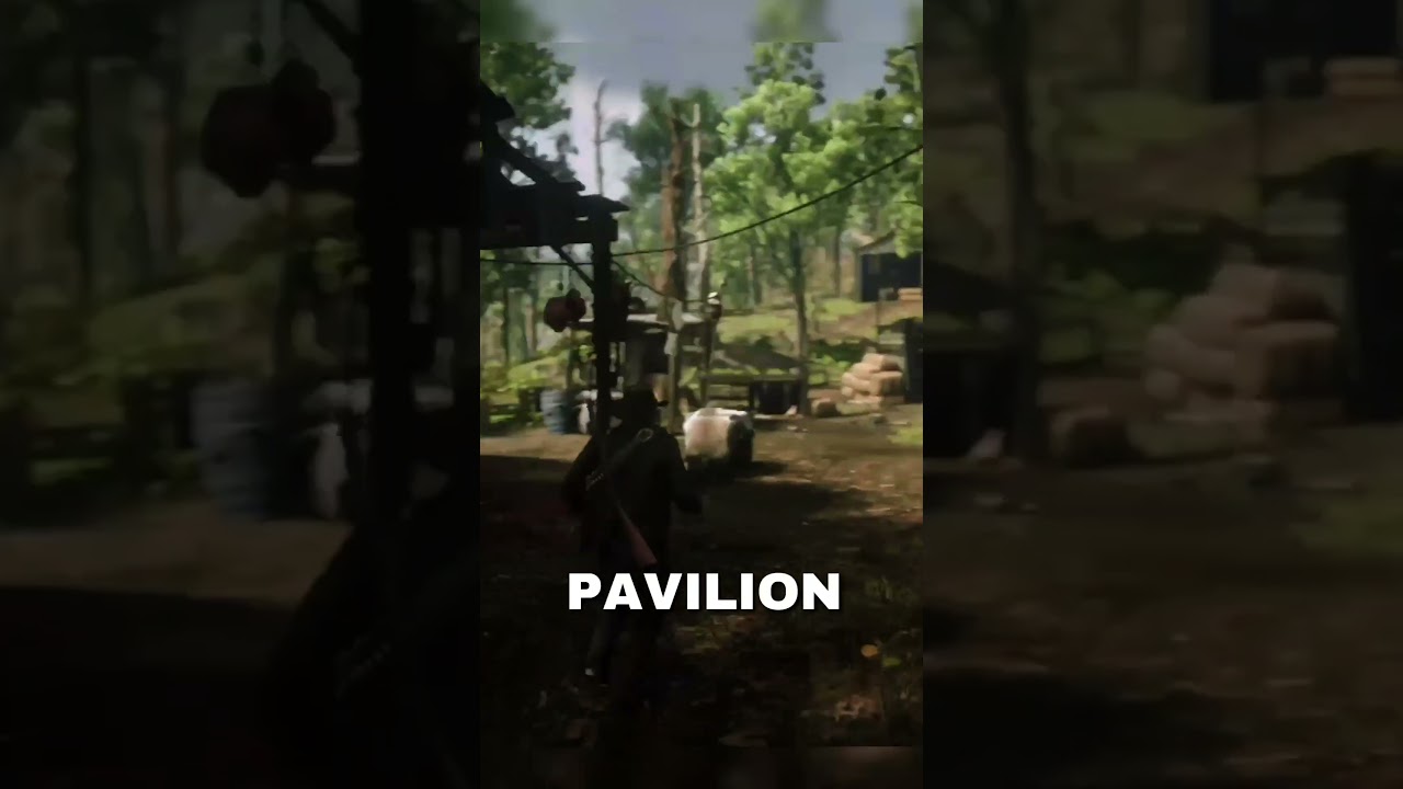 You NEED to get this item in RDR2