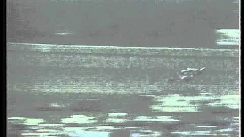 AJ Foyt & Kevin Cogan Crash Out Of The Lead - 1982...