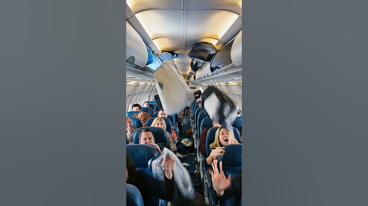 Aircraft Turbulence: Passengers Freak Out When Overhead Bins Opened