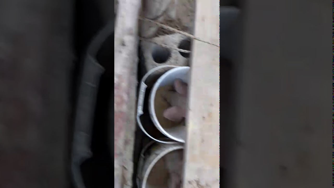 Comedero casero para cerdos lechones  fácil y sencillo