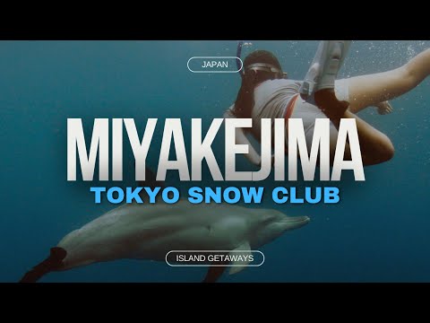 Miyakejima Dolphin Swim with Tokyo Snow Club