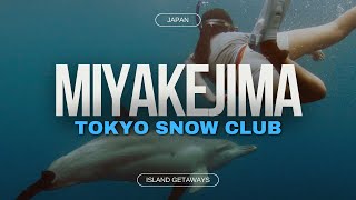 Miyakejima Dolphin Swim With Tokyo Snow Club