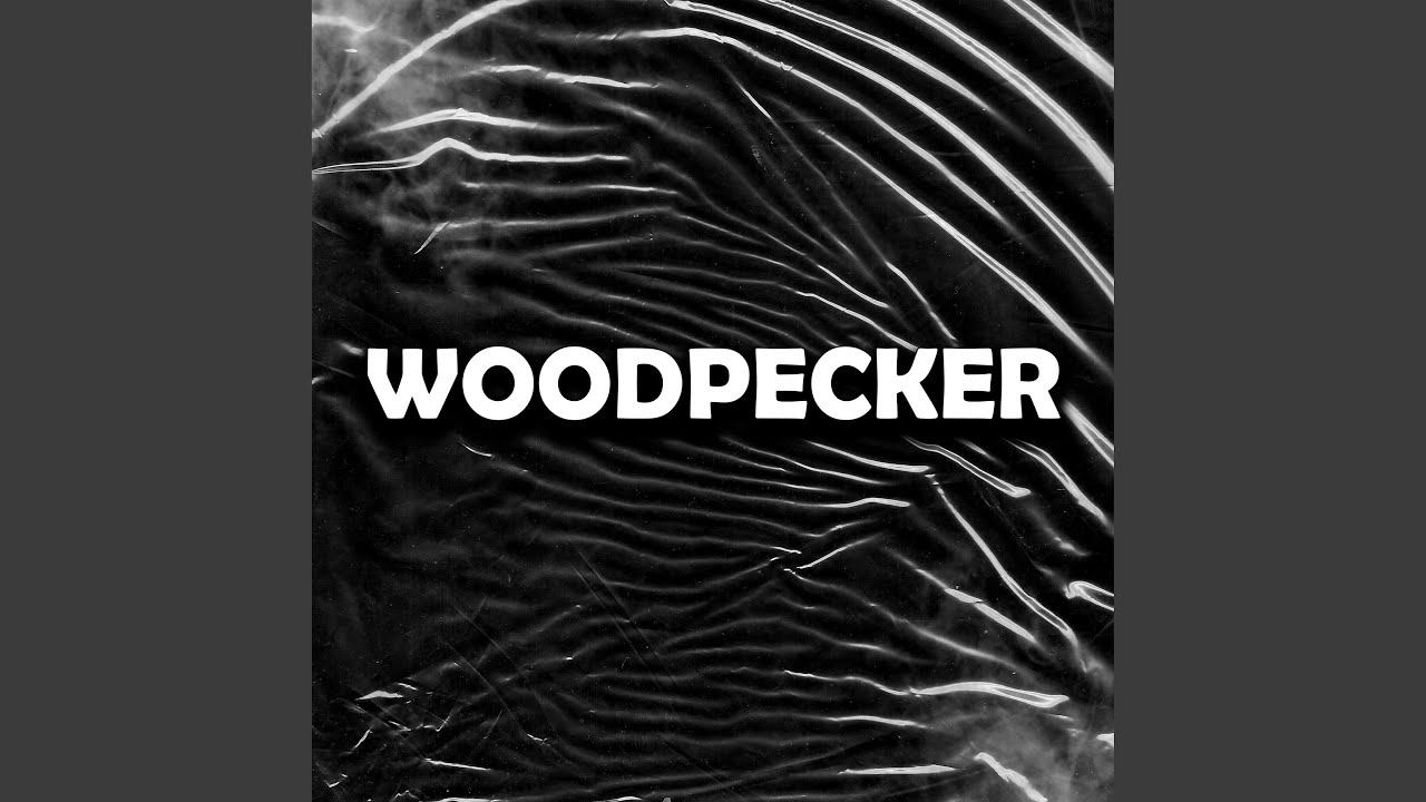 Woodpecker YouTube