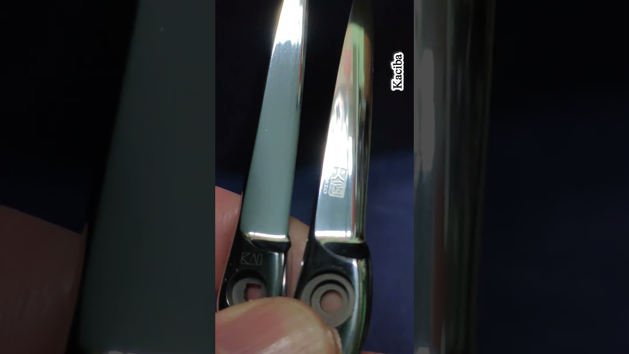 Ножиці KASHO покращення форми леза Improving the blade shape, a new way