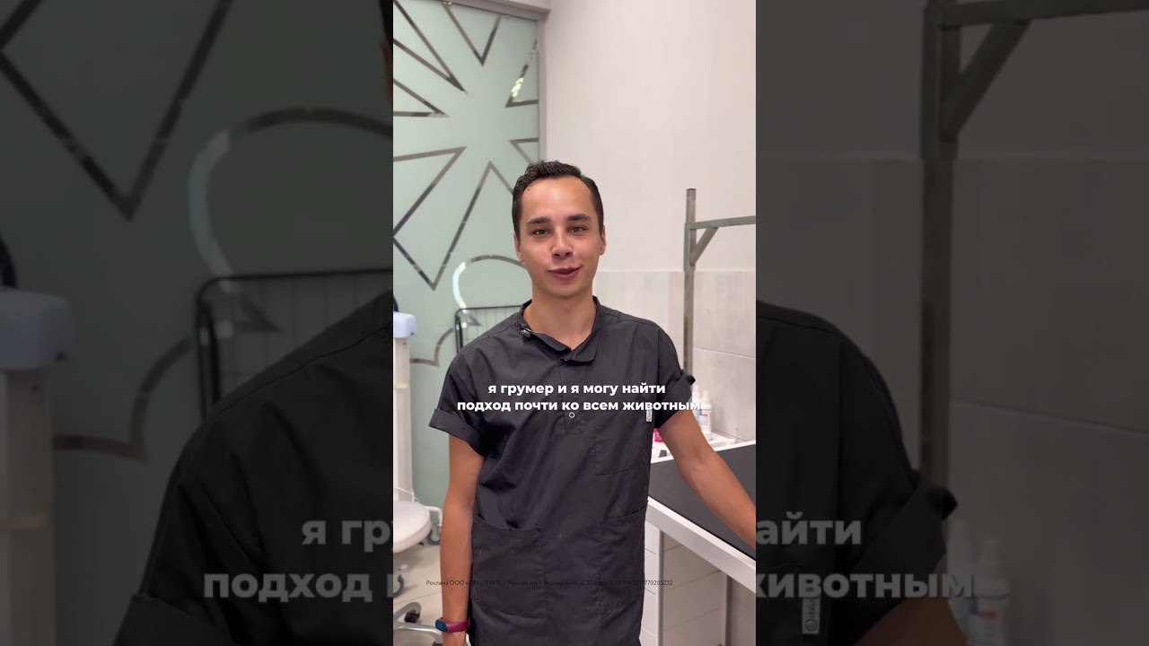 Приходите к нам в груминг в Зоозавр ✨🫰🏻