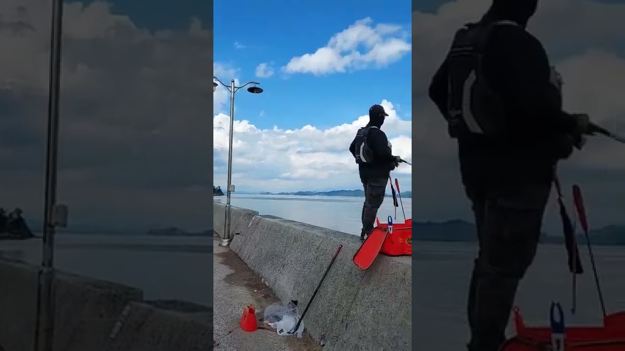 거제 가조도 유교방파제 #거제 #감성돔 #방파제낚시