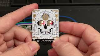 Famous Skull of Fate SAO Demonstration | Hackaday Supercon 8 Profile