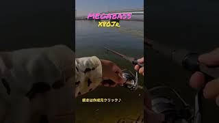 【バス釣り】X80Jr.カッコイイし釣れるやん♪#shorts #メガバス #lurefishing