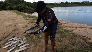 A ESTRATÉGIA DEU CERTO! Esperei quietinho e as brutas vieram!
