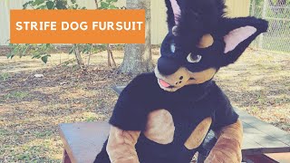 Strife Fursuit by Mixedcandy News