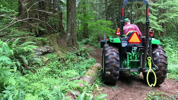 Cheap log skidding tongs test