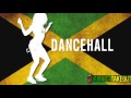 Dj sheikh  dancehall club mix  vybz kartel mavado serani j capri konshens