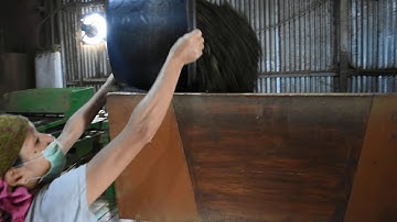 Discovering Nepal tea - Final tea leaves sorting on a mini processing unit by Nepali women