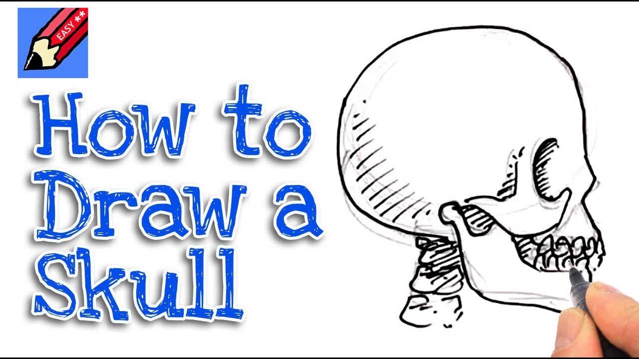 How to Draw a Skull - An Easy Simplified Front View - Let's Draw That!