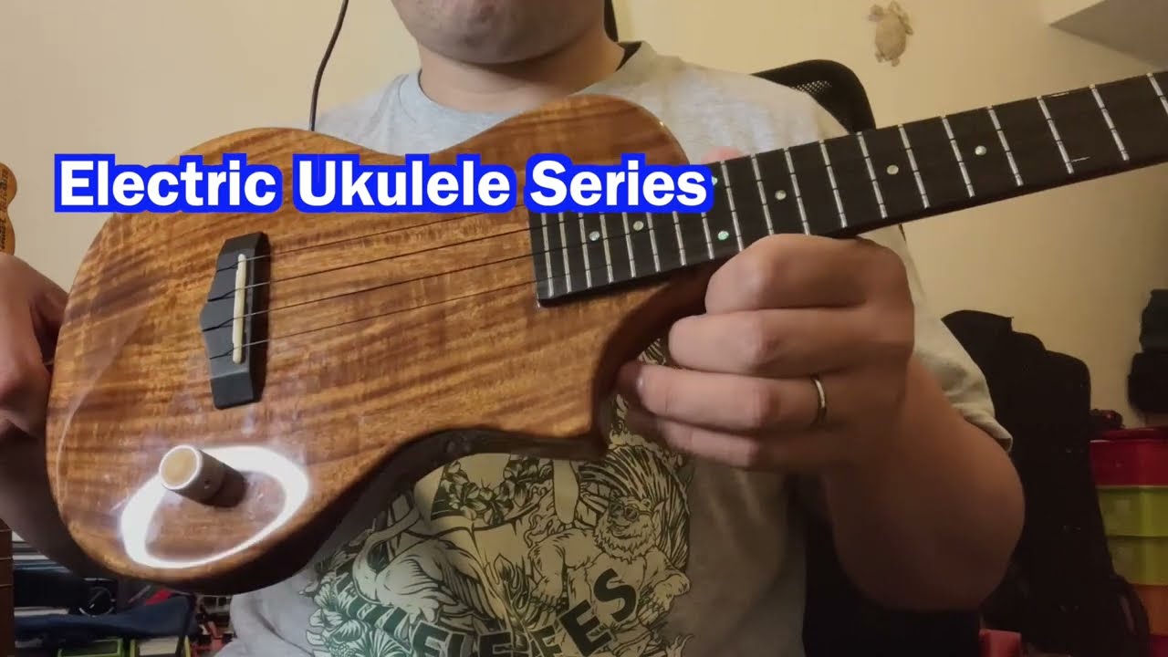 ねこねここねこBig  Ukulele HONU ねこねここねこBig Ukulele HONU ねこねここねこ様専用Big Island