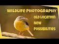 Old Location New Discovery - I visit the site that first sparked my interest in Wildlife Photography