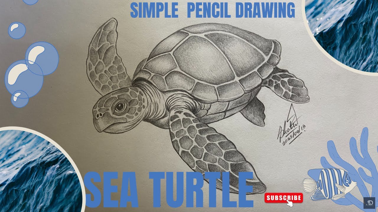🐢✨How to Draw a Sea Turtle | Realistic Pencil Sketch