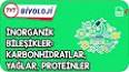 Proteinler ve Fonksiyonları ile ilgili video