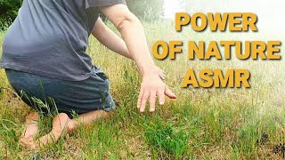 Appreciate the power of nature [ASMR]