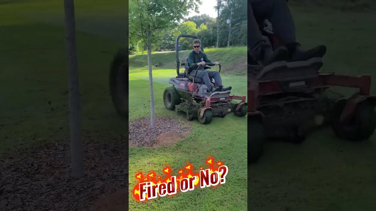 Lawn Mower Blows Grass Clippings into a Tree Ring