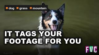 Find any clip by what is in it — AI video tagging in Fast Video Cataloger screenshot 5