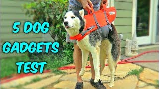 5 Dog Gadgets on Amazon  Part 3