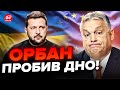 ⚡️Скандал! Ця заява ОРБАНА ПРО УКРАЇНУ сколихнула мережу / Лише послухайте, що сказав