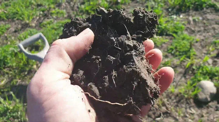 Calcium to Magnesium Ratios | 60 Second Lectures