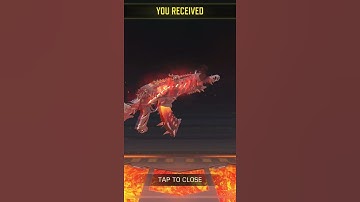 AK117 MELTDOWN LEGENDARY ANIMATION LOOKS SICK!!