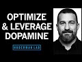 Leverage dopamine to overcome procrastination  optimize effort  huberman lab podcast