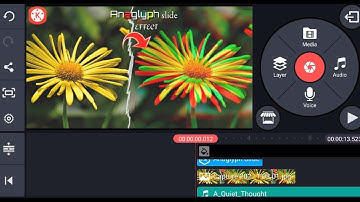 Use of Anaglyph effect in Kinemaster