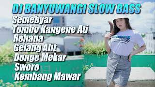 Dj Banyuwangi Slow Bass Divana Project