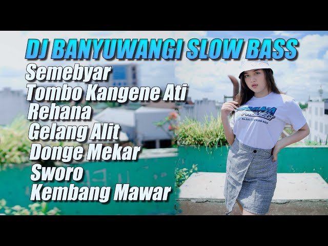 Dj Banyuwangi Slow Bass Divana Project class=