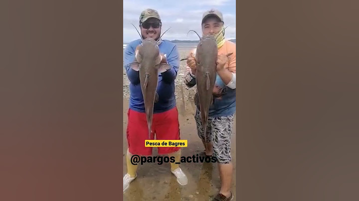 Pesca de 💥BAGRES 💥de playa #bagre #pesca