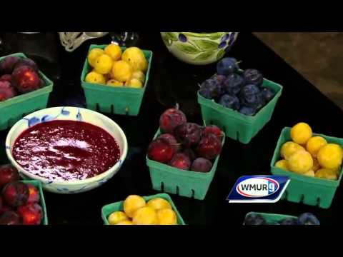 Video: Cherry Plum Sauce: Step By Step Photo Recipes For Easy Preparation