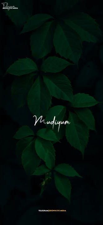 Po-po yen💔 whatsapp status video #shorts