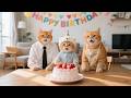 Ginger Kitten Thinks Papa and Mama Cat Forgot His Birthday, but a Surprise Awaits 🎂🐾❤️